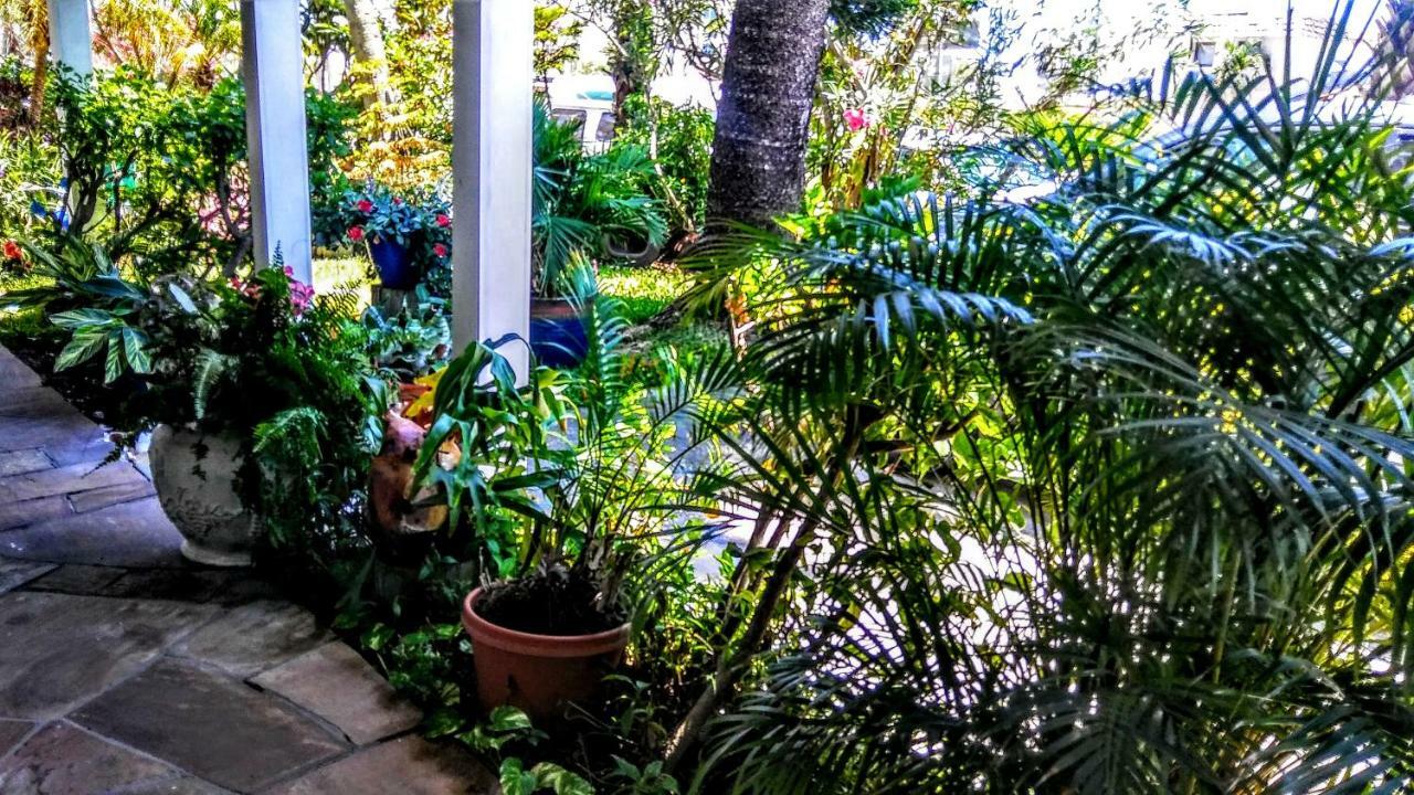 Boca Ciega Bay Apartment St. Pete Beach Exterior foto